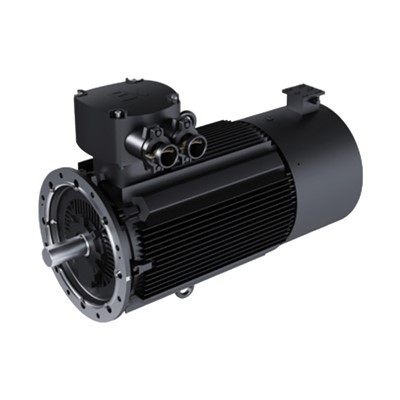 Modur Gwrth-ffrwydrad Magnet Parhaol ar gyfer Olew a Nwy